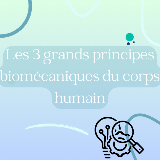 Mobilité, économie et confort : trois principes pour mieux comprendre le mouvement